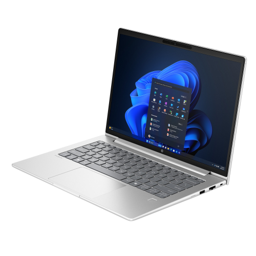 HP ProBook 4 G1i, Ultra 5-225U, DDR5 5600Mhz 8GB RAM, 256GB NVMe M.2 SSD, 14-inch Anti-glare WUXGA LED, Pike Silver - 5