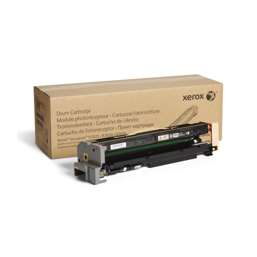 Xerox B1025 Black Original Toner Cartridge (006R01731)