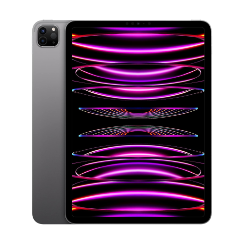 Apple iPad Pro 11-inch (4th gen) M2 Chip Wi-Fi 256GB Space Gray /MNXF3/